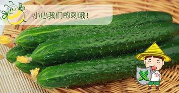 66吃瓜网 免费吃瓜,免费吃瓜，畅享娱乐盛宴  第3张