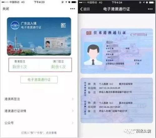 最新通行证爆料信息图片,图解关键信息与亮点  第2张