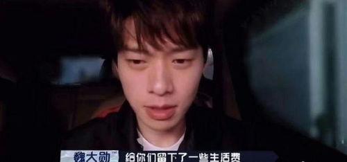 爆料男明星视频合集下载,独家爆料男明星视频合集下载全记录  第3张