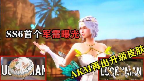 军需新皮肤最新爆料升级枪,枪械美学与实战性能的完美融合  第3张