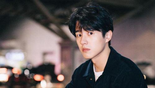 刘昊然舆论爆料视频,真相与误解的交织  第1张